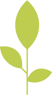 producte ecològic