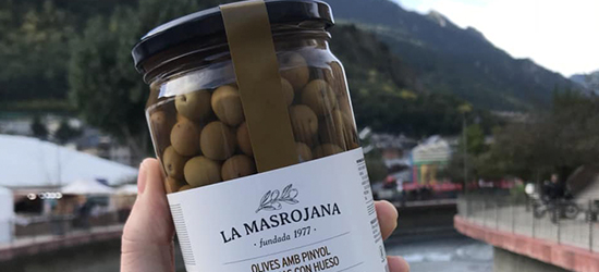 Aceitunas Arbequina ecológicas La Masrojana producto catalan